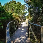 Bright Flat In Rosolina Rosolina Mare