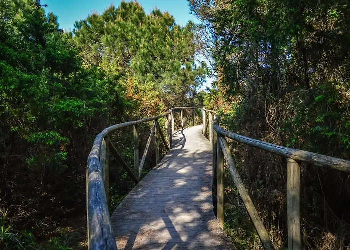 Bright Flat In Rosolina Rosolina Mare
